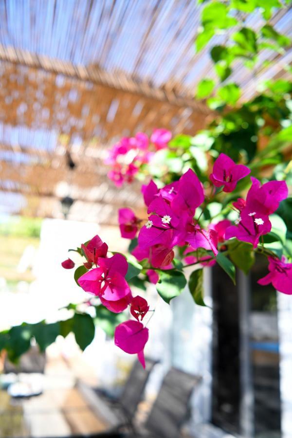 Serenity Luxury Villa, Skiathos Agia Paraskevi  Luaran gambar